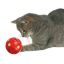 TRIXIE Мяч для лаковств д/кошек,7,5см